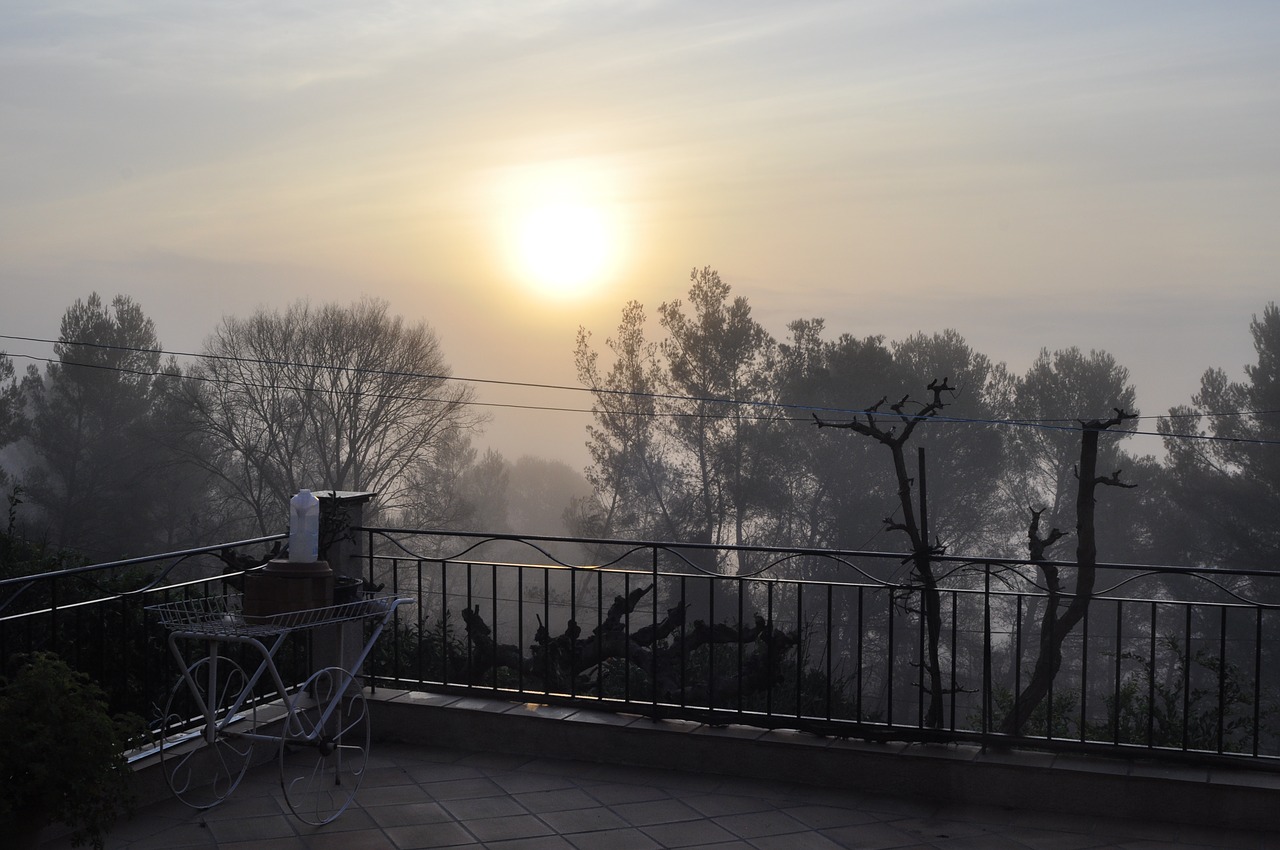 fog  horizontal plane  dawn free photo