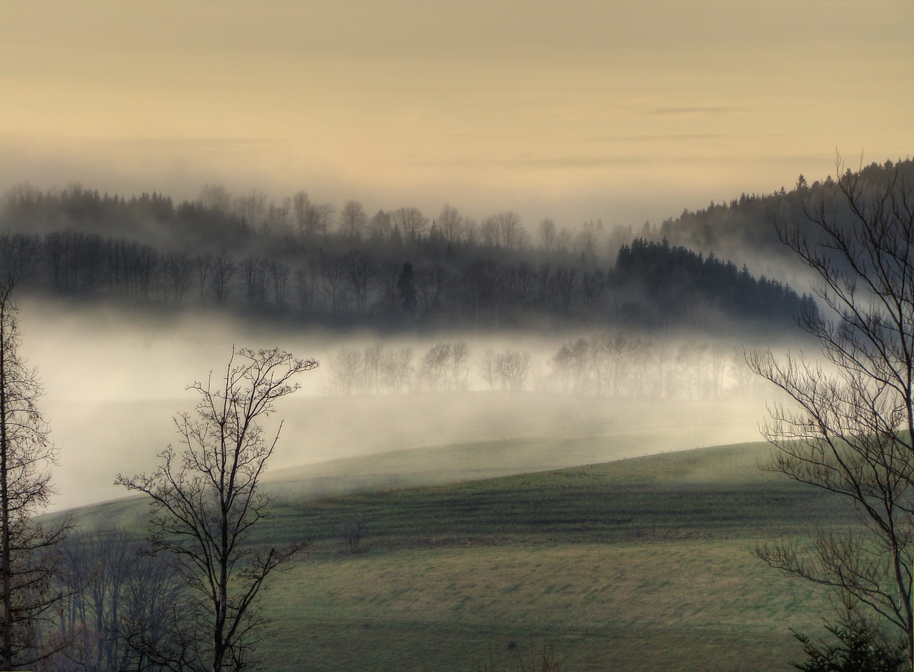 fog  landscape  nature free photo