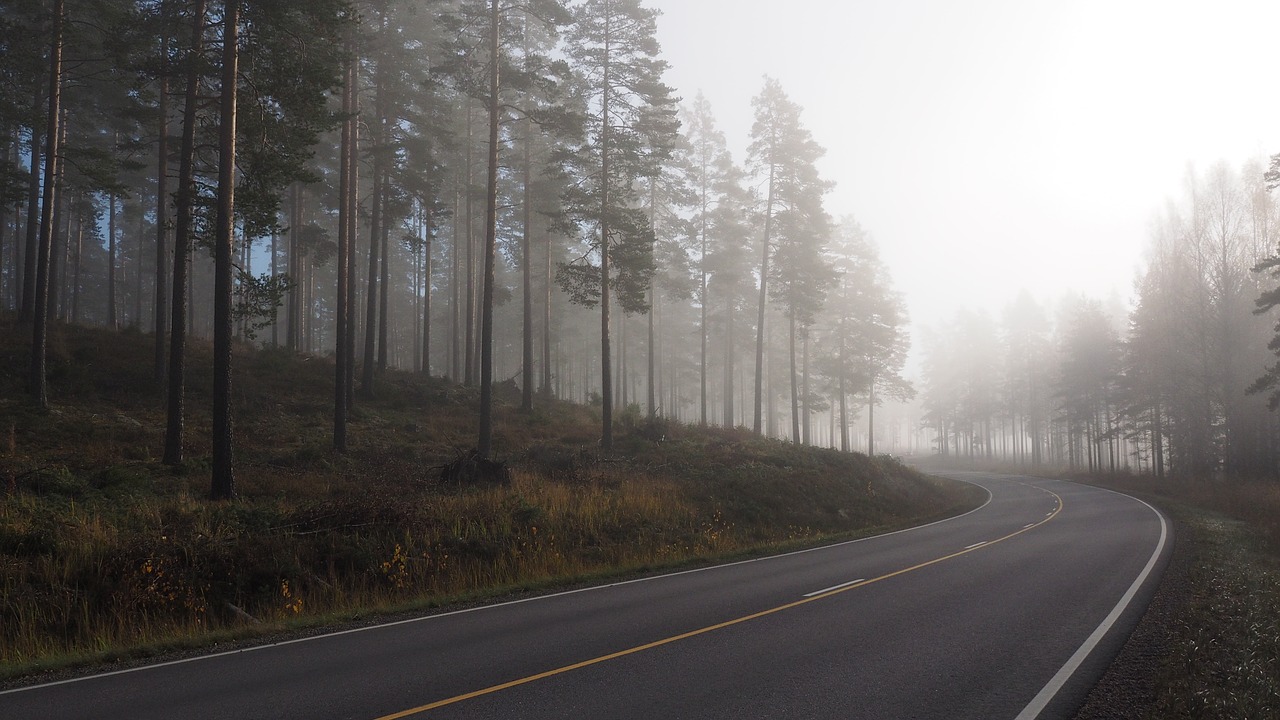 fog  morning  landscape free photo