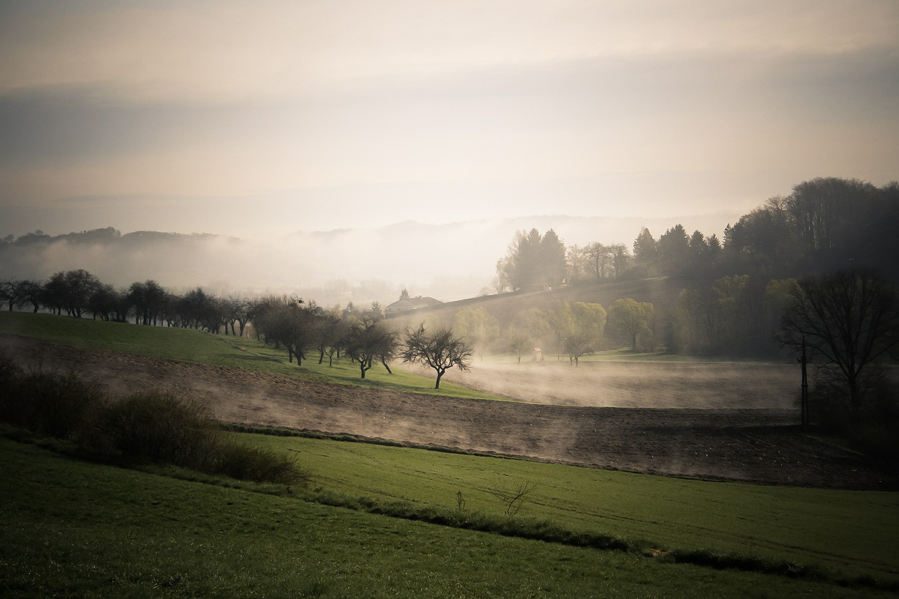 fog autumn landscape free photo