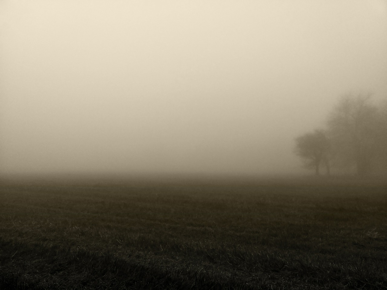 fog morning atmosphere free photo