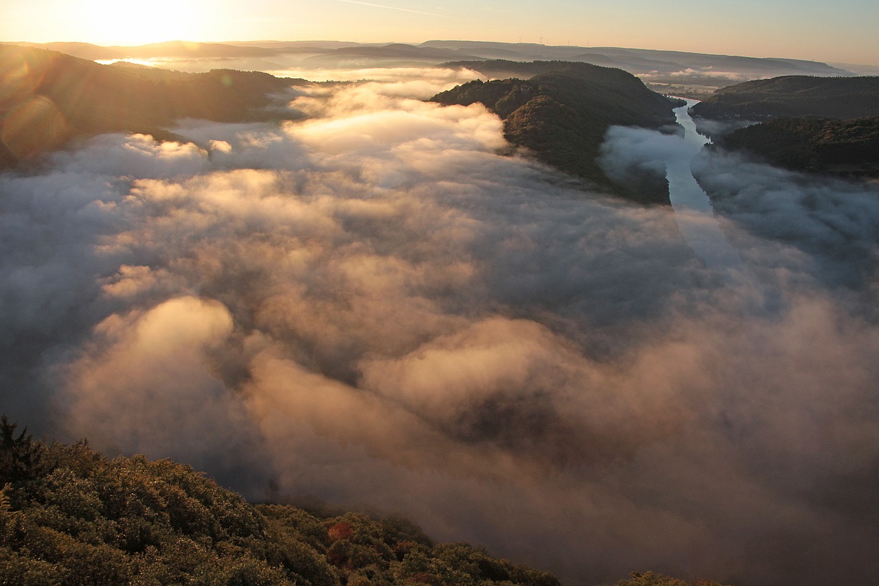 fog  morning mist  nature free photo