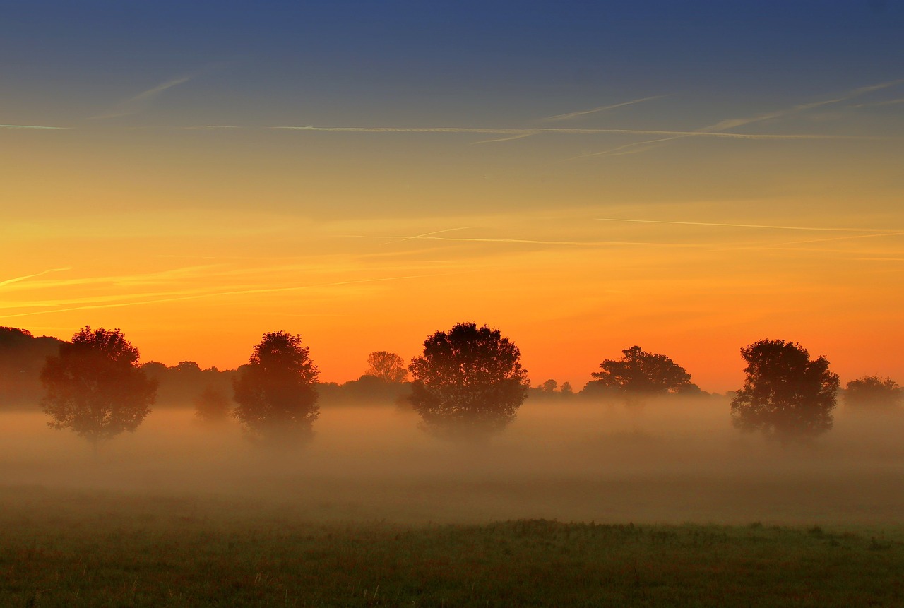 fog  sunrise  landscape free photo
