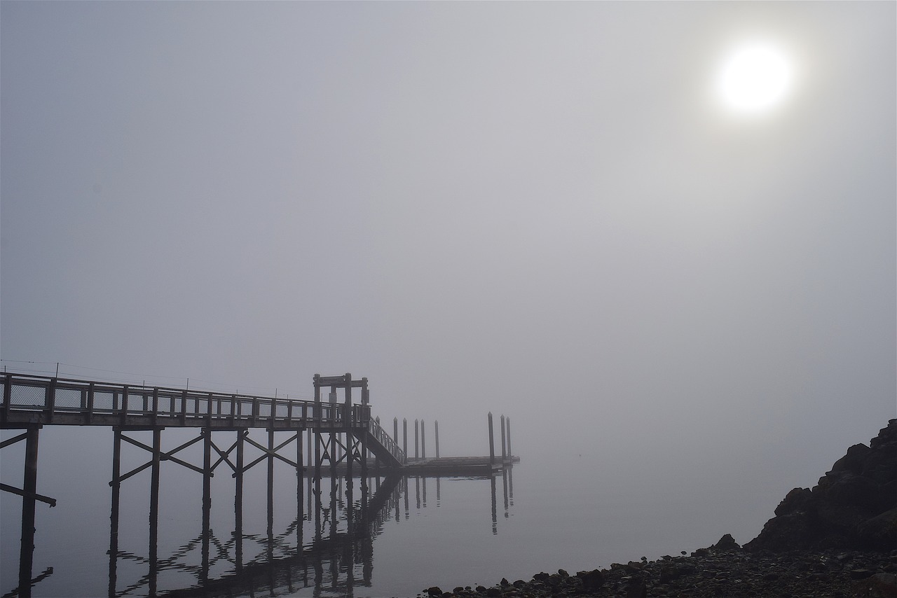 fog  morning  bridge free photo