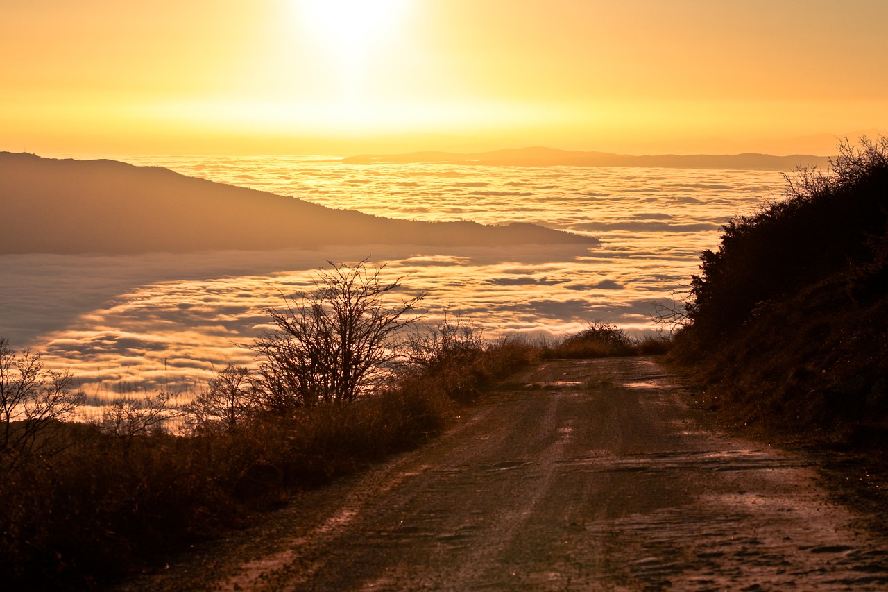 fog  sunset  sky free photo