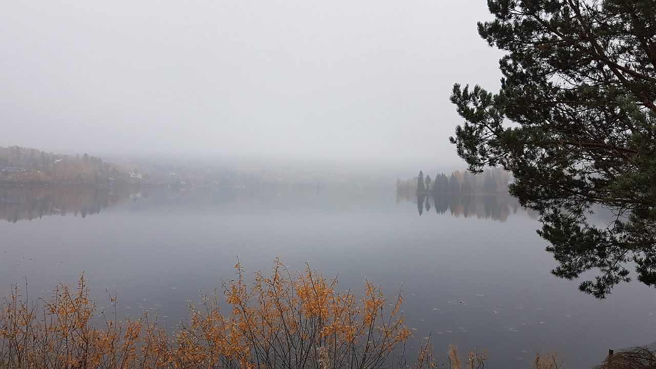 fog  norway  water free photo