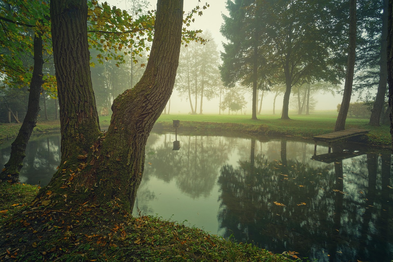 fog  lake  pools free photo