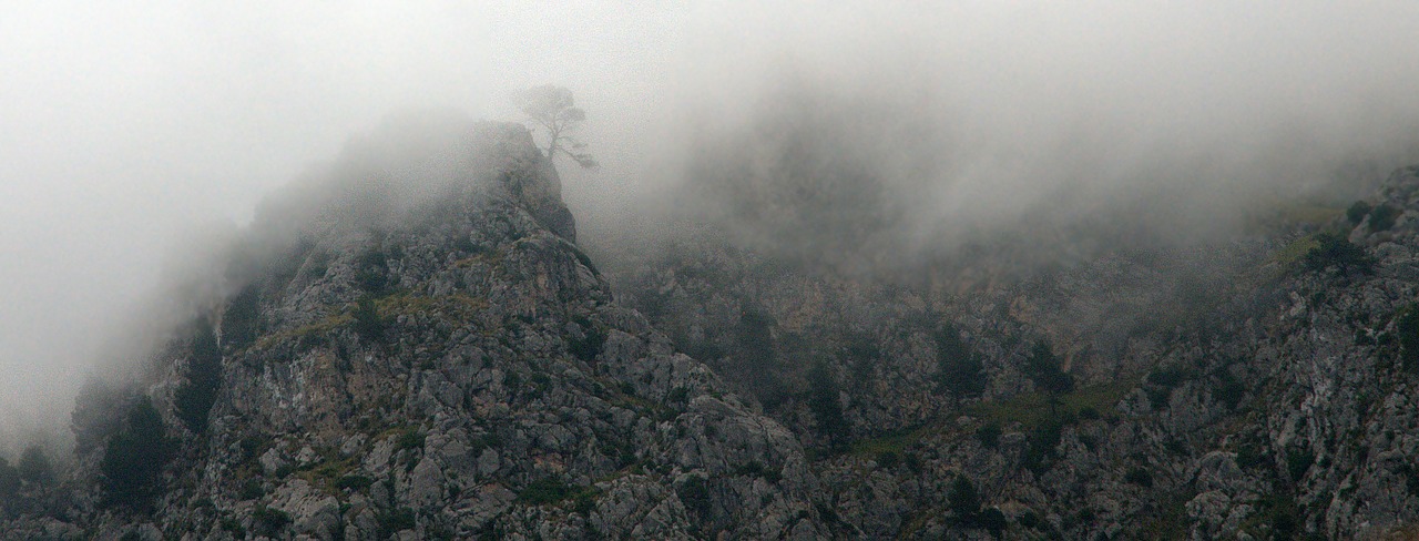 fog mountain nature reserve free photo