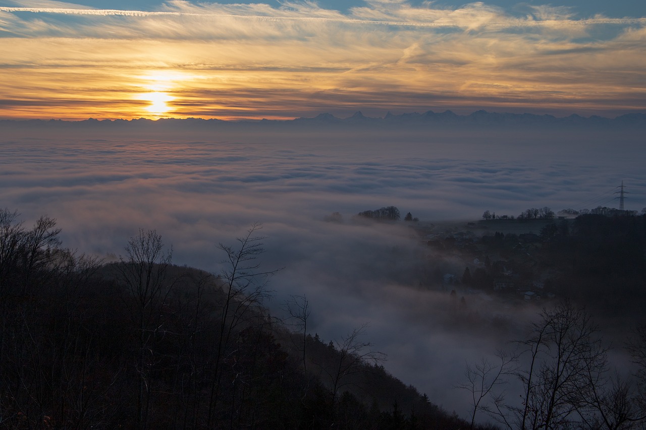 fog  sunrise  landscape free photo