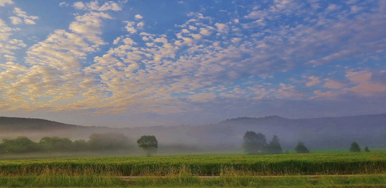 fog fleecy landscape free photo