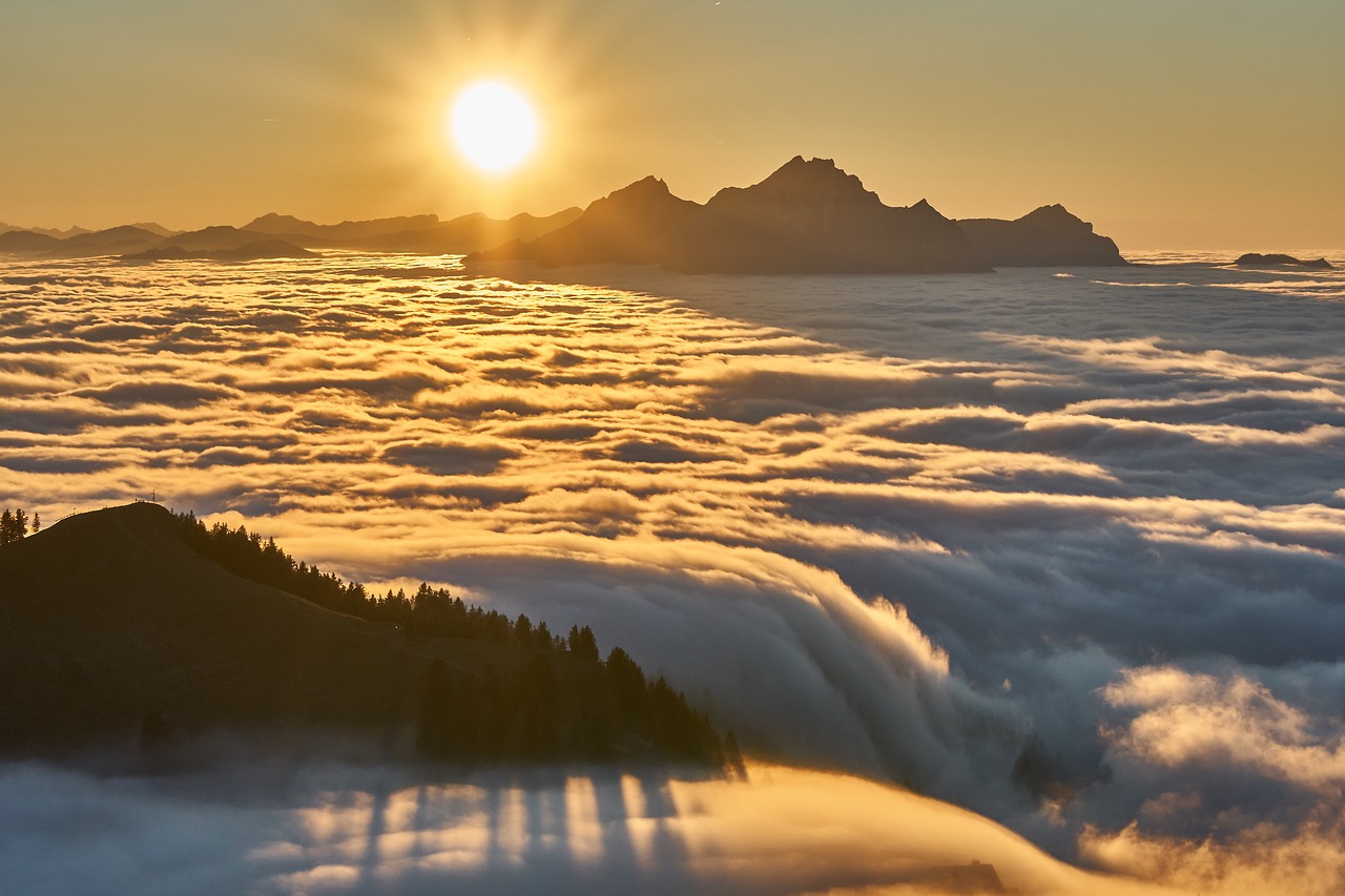 fog  sunset  alpine free photo