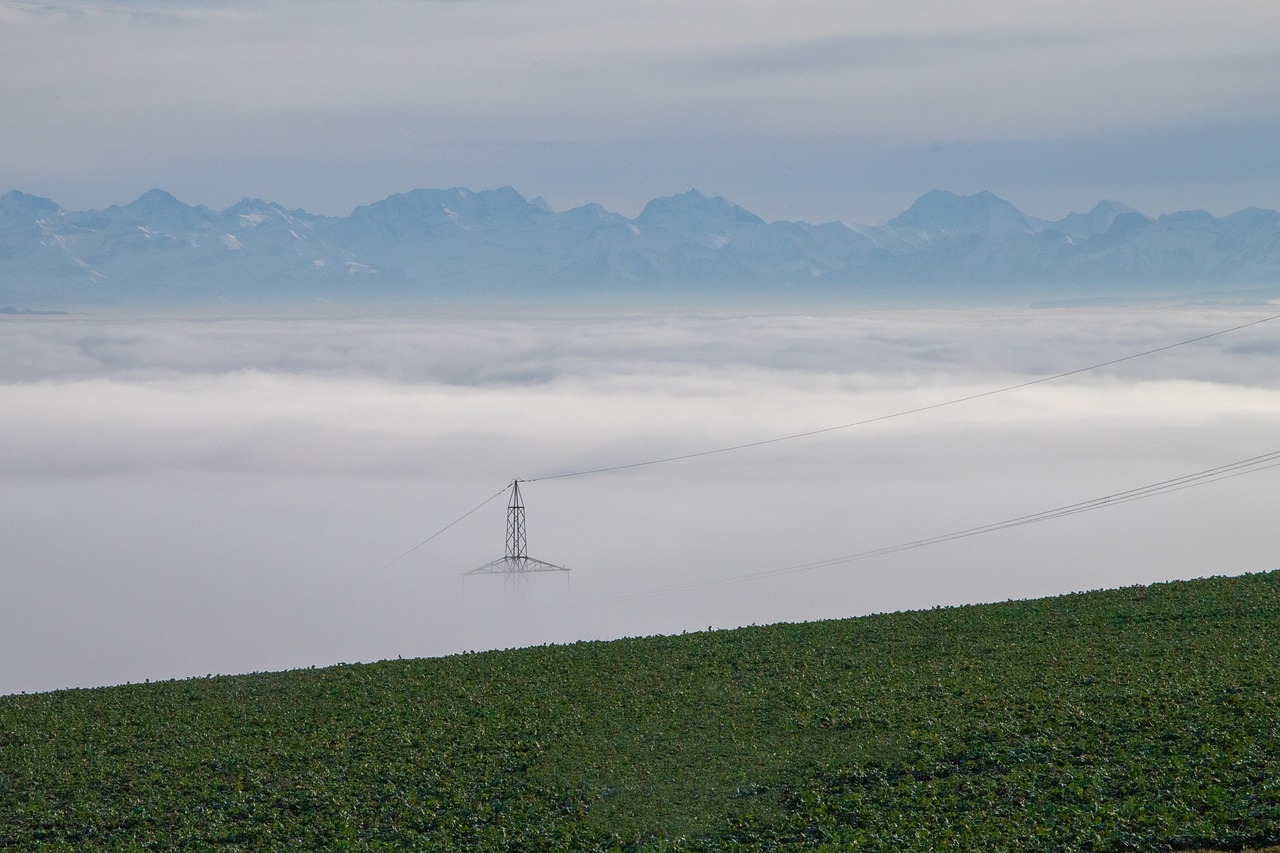 fog  sea of fog  strommast free photo