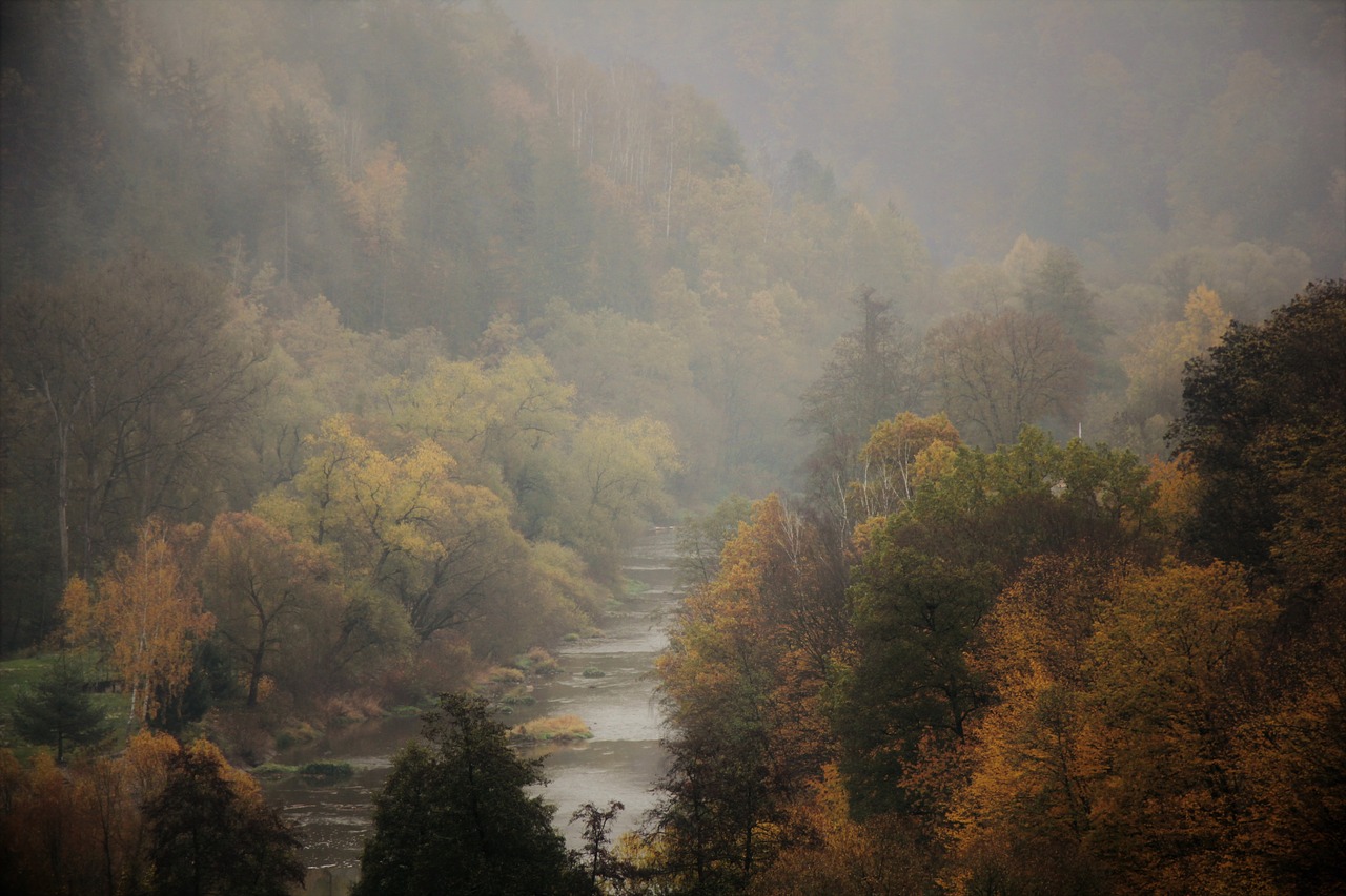 fog  autumn  haze free photo