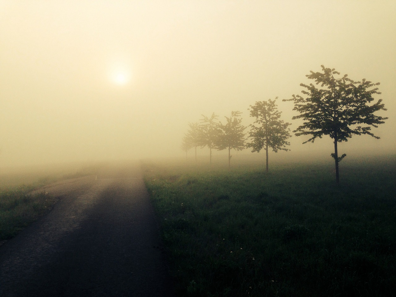 fog sun landscape free photo