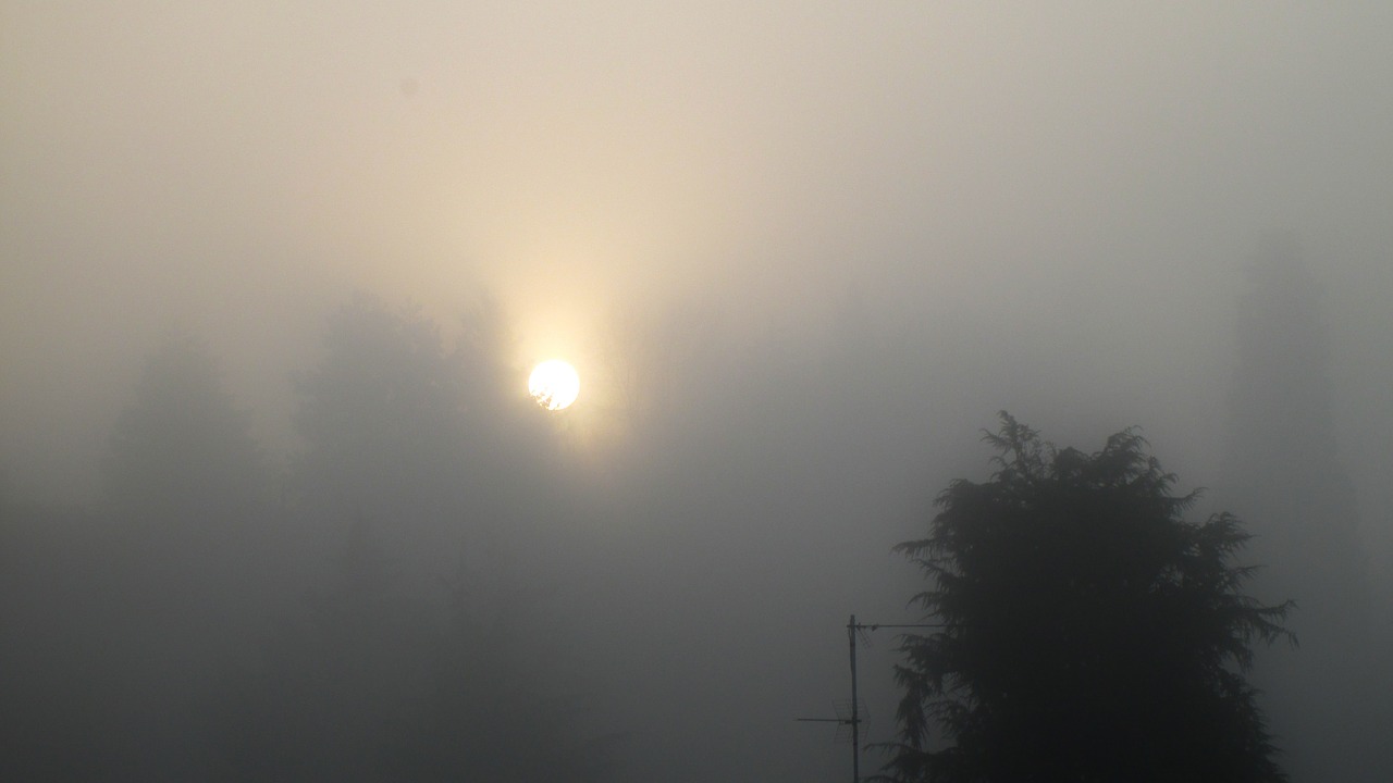 fog sun winter free photo