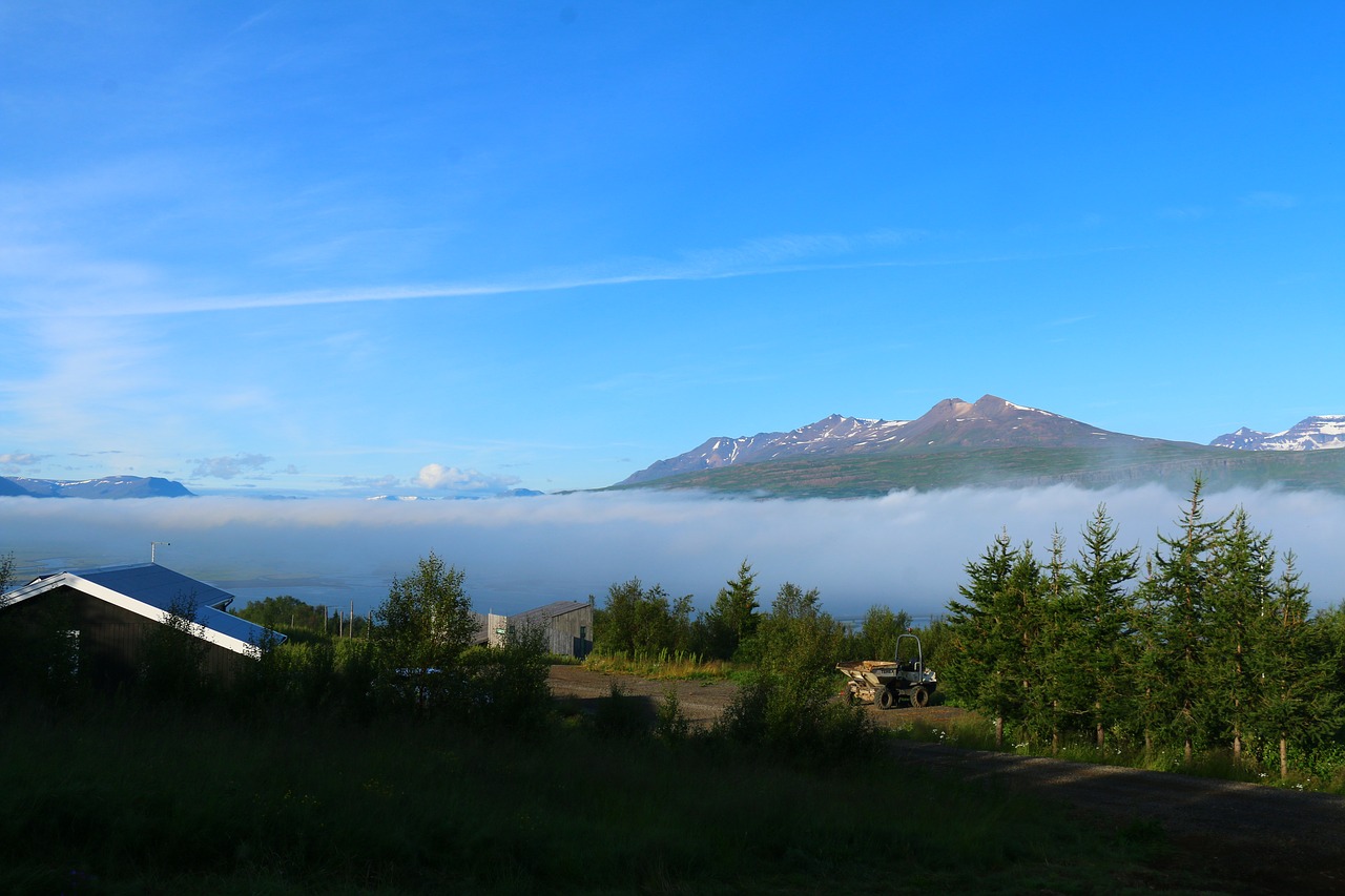 fog  morning  landscape free photo