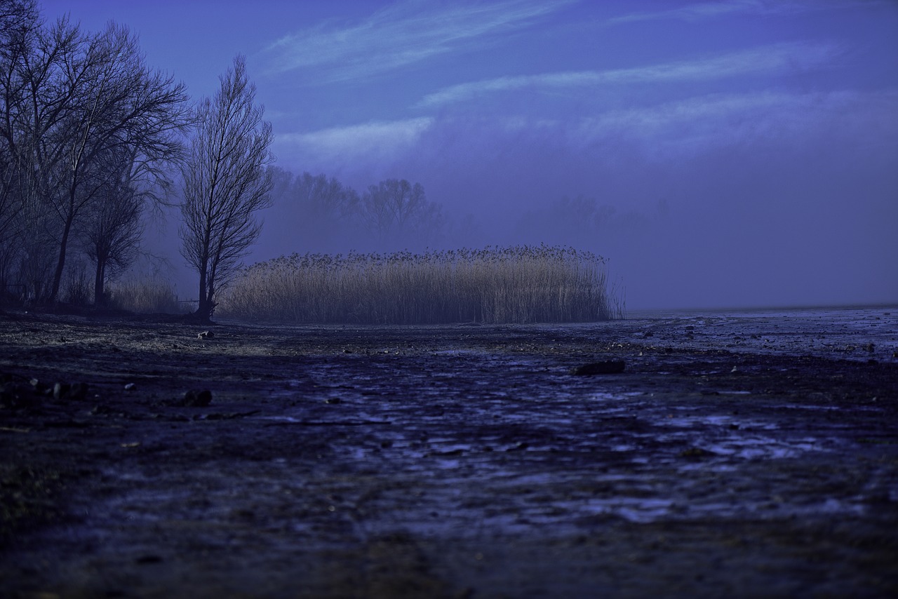 fog  sunrise  landscape free photo