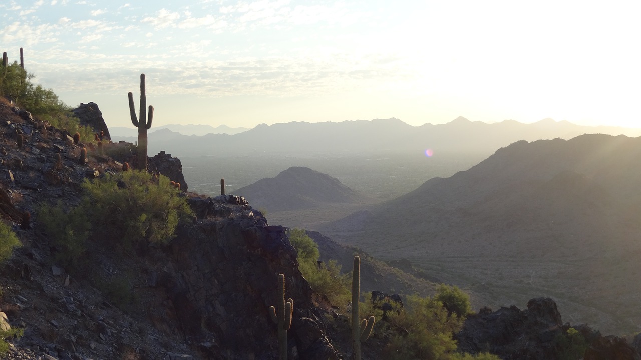 fog  foggy  desert free photo