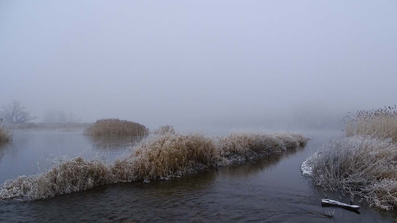 fog  water  landscape free photo