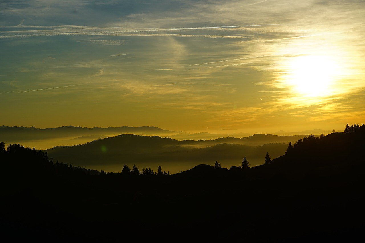 fog  nebellandschaft  sunset free photo