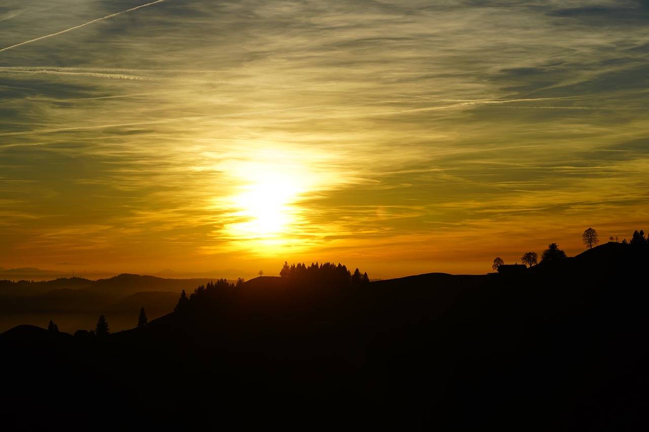 fog  nebellandschaft  sunset free photo