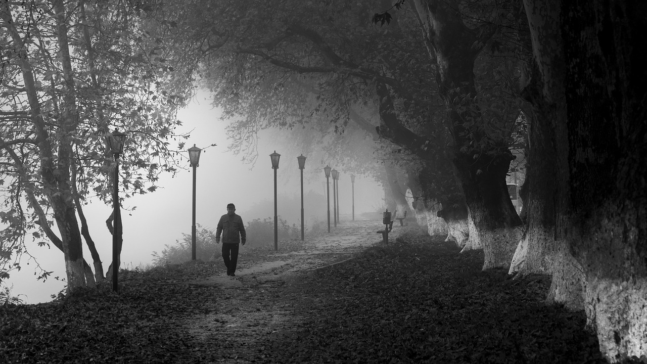 fog  foggy  path free photo