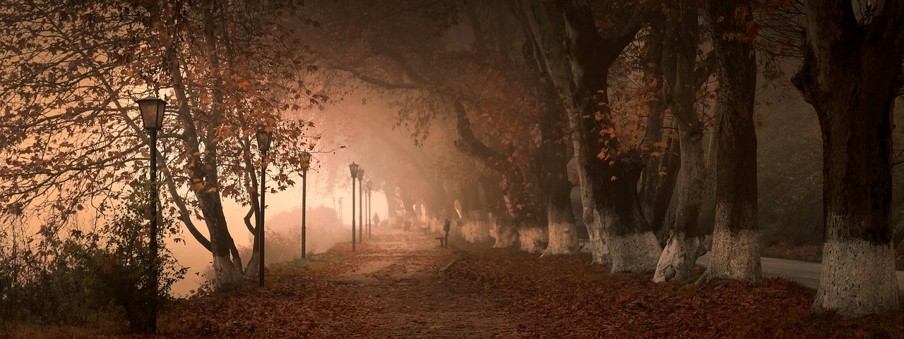 fog  kastoria  greece free photo