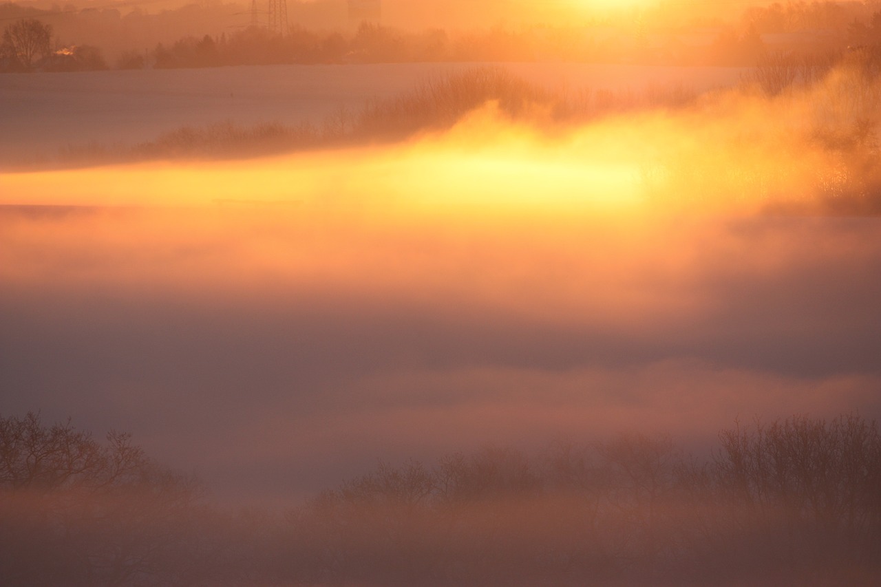 fog sun landscape free photo