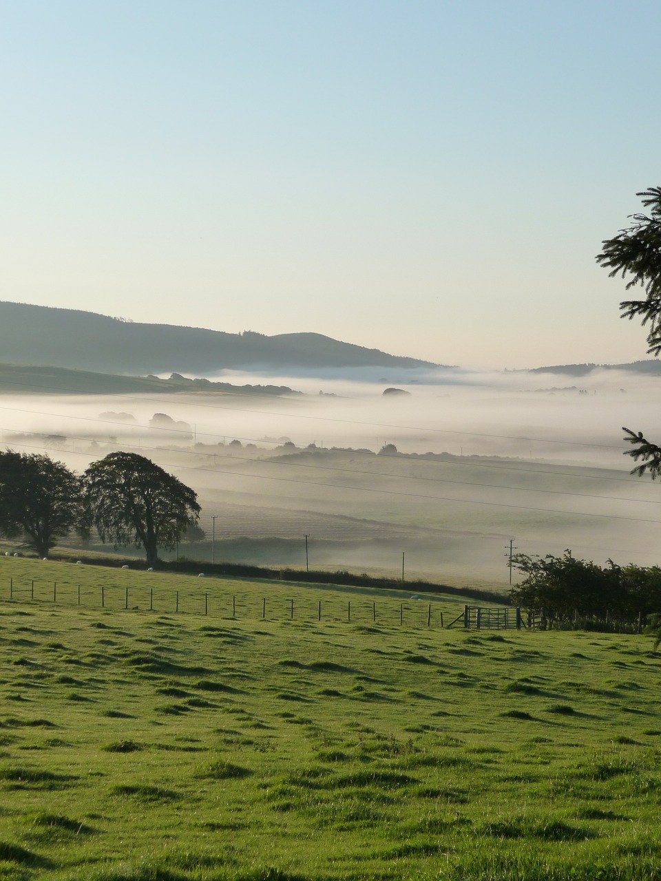 fog morning dawn free photo