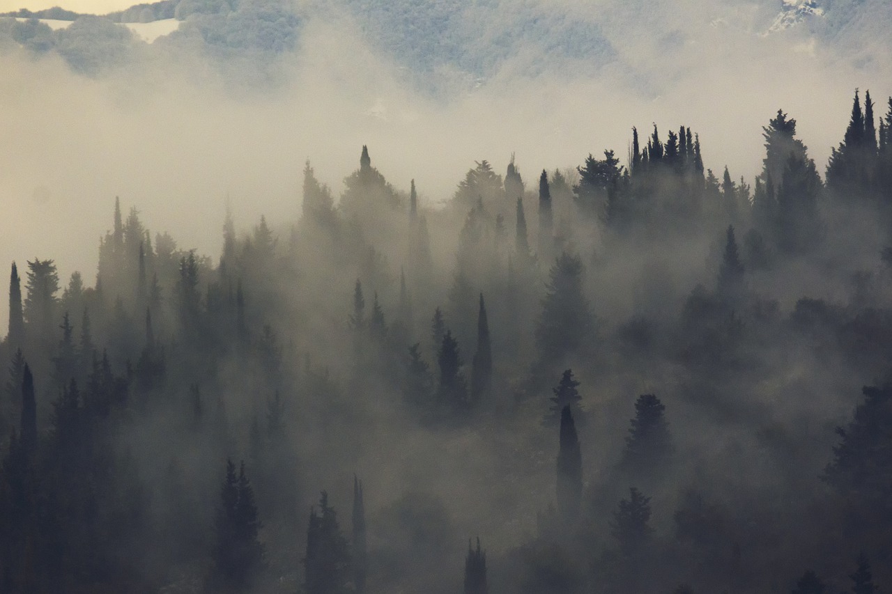 fog  foggy  hills free photo