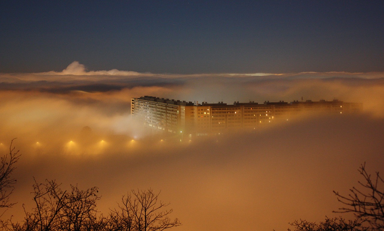 fog night dark free photo