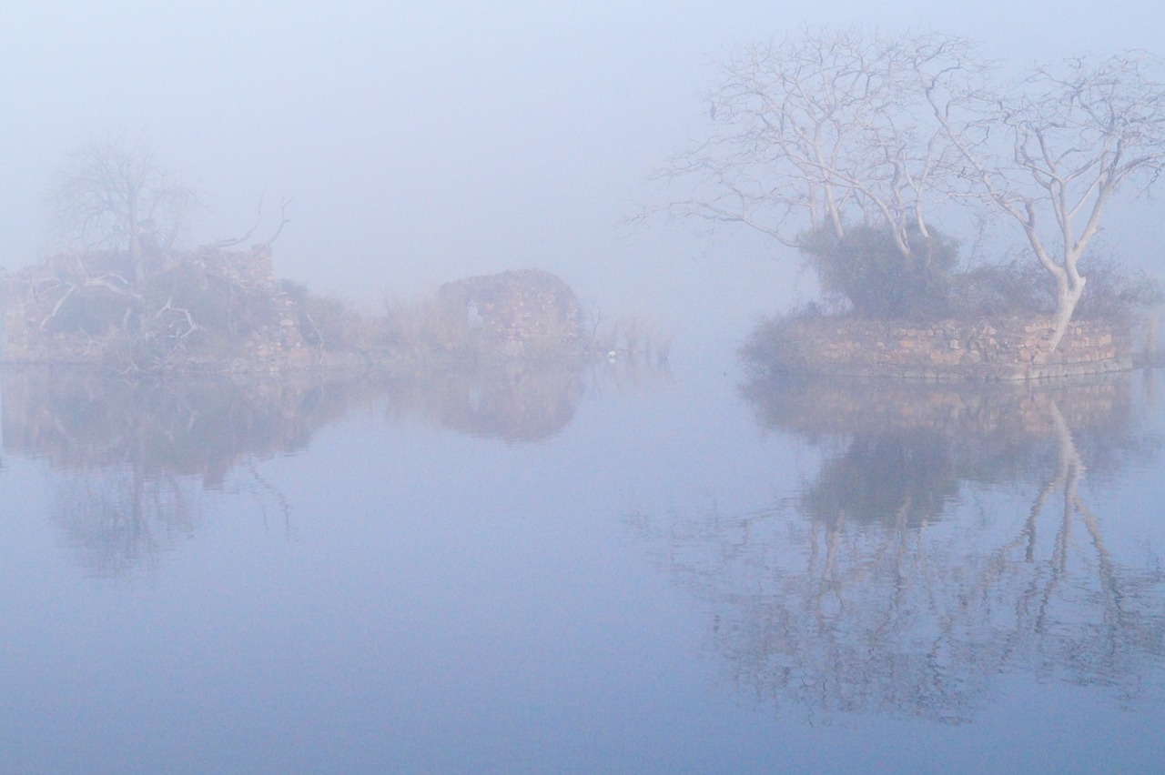 fog mist lake free photo