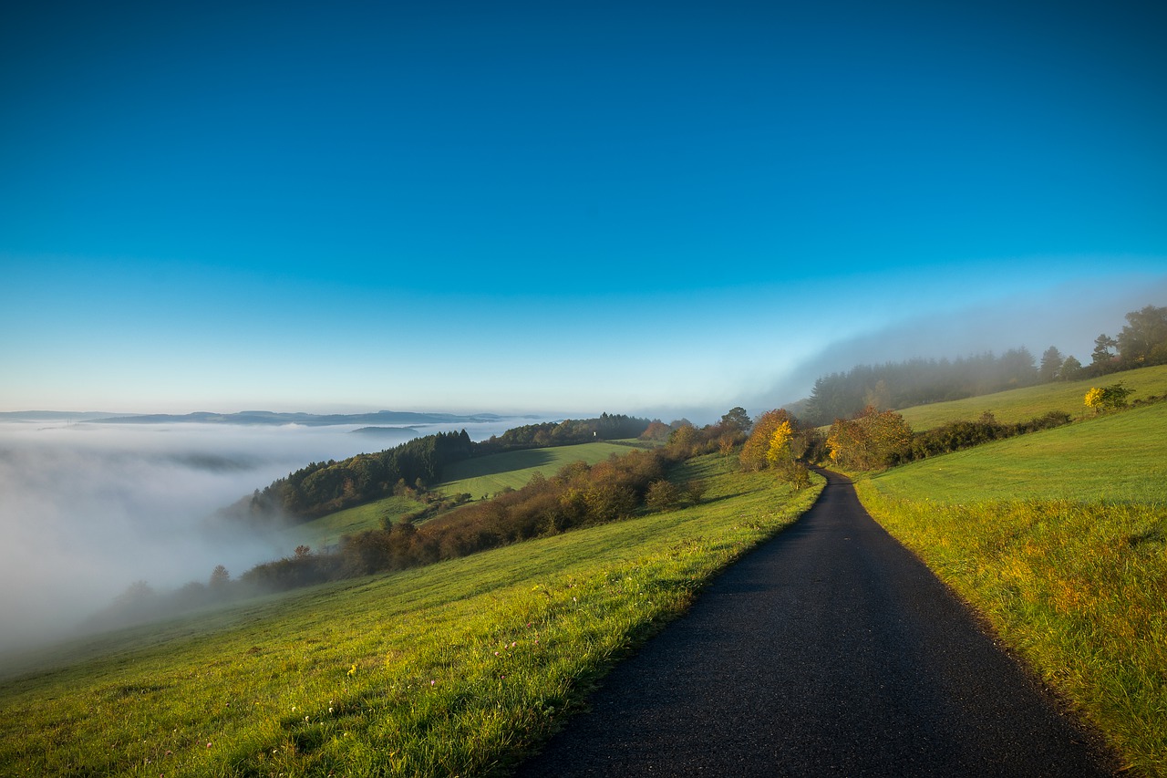 fog  landscape  eifel free photo