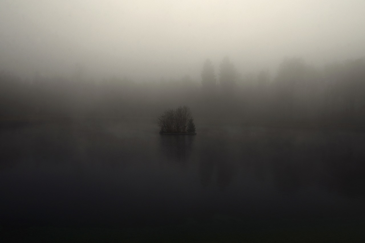 fog mysterious engiweiher free photo