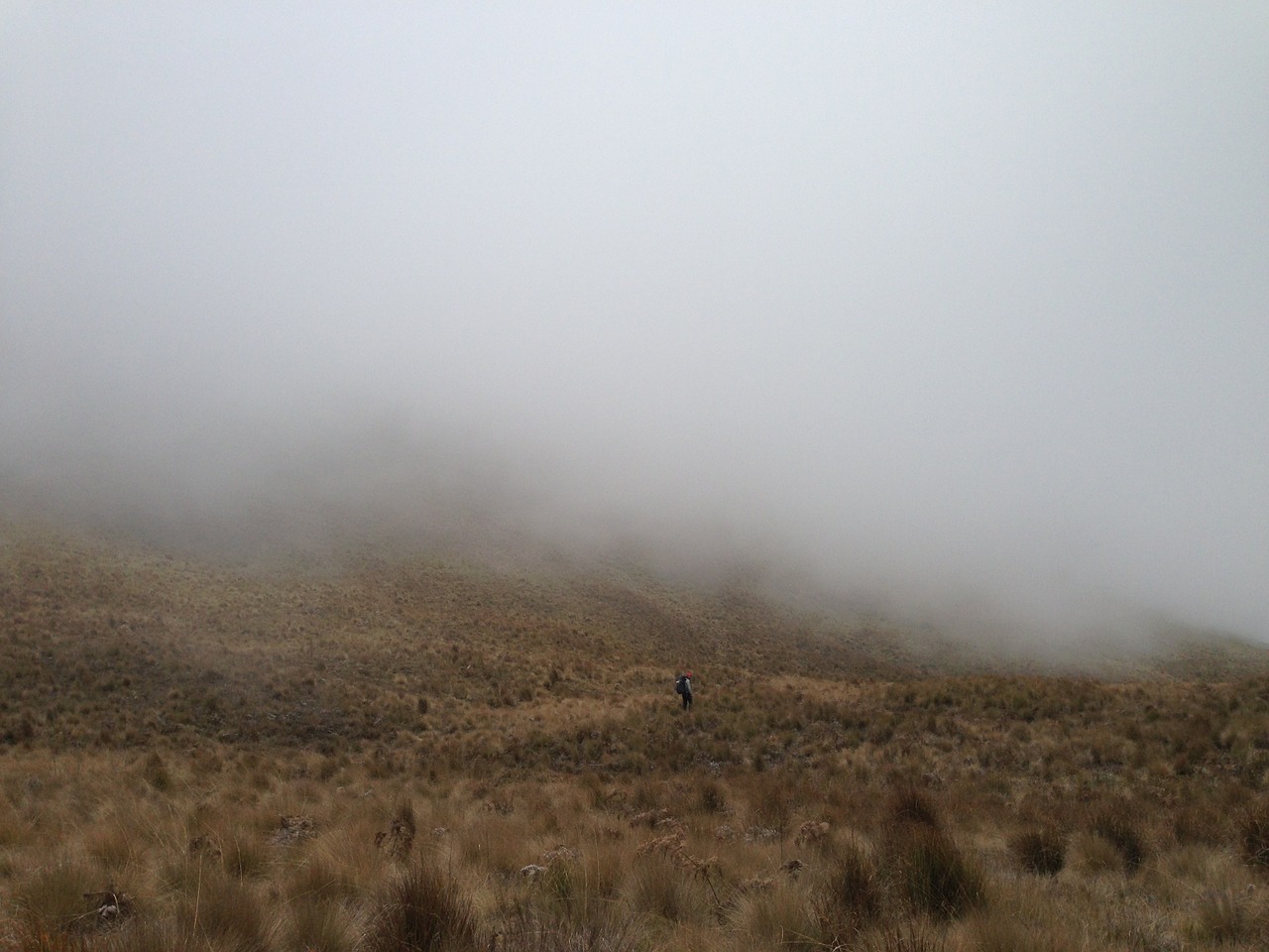 fog mountain landscape free photo