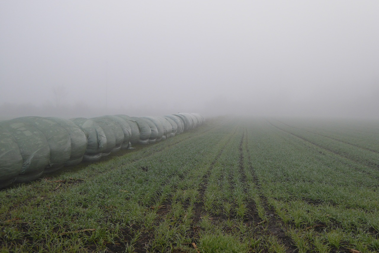 fog field harvest free photo