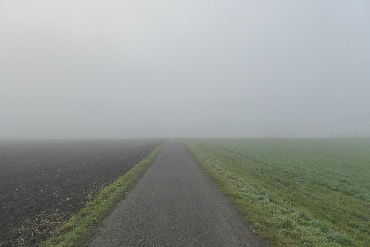 fog arable meadow free photo