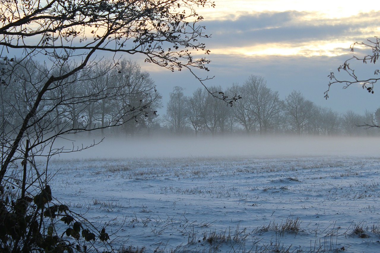 fog winter fog bank free photo