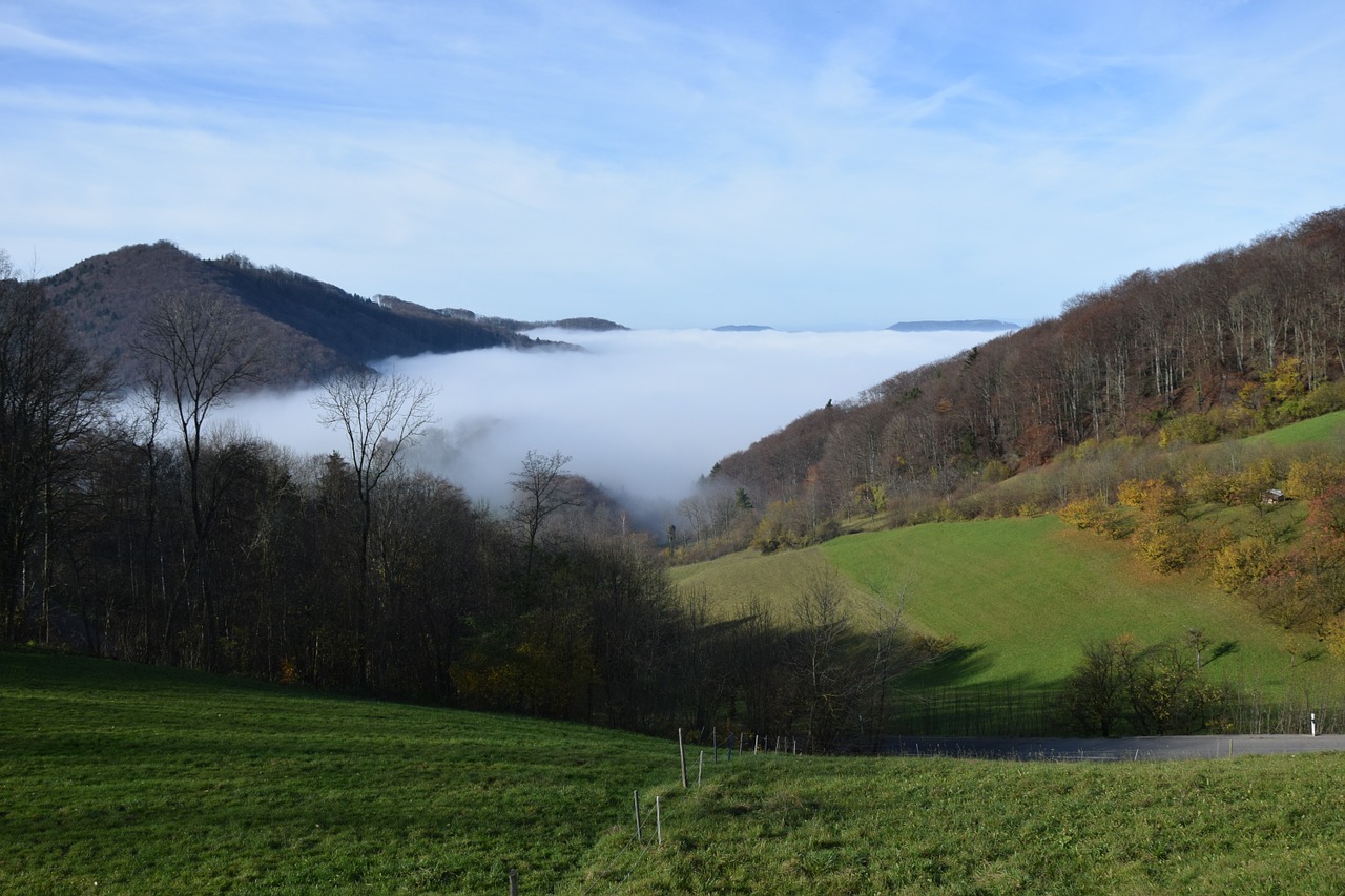 fog autumn landscape free photo