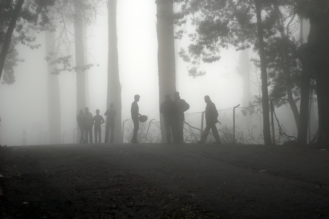 fog mist landscape free photo