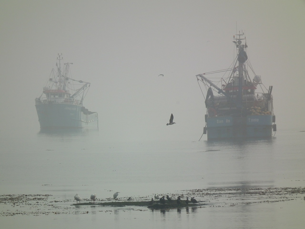 fog sea boat free photo