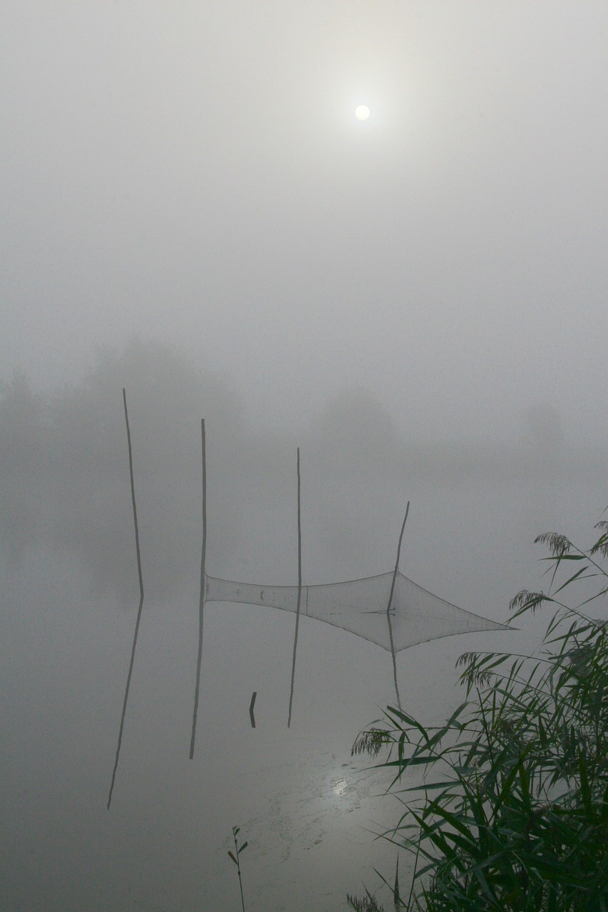 fog water fishnet free photo