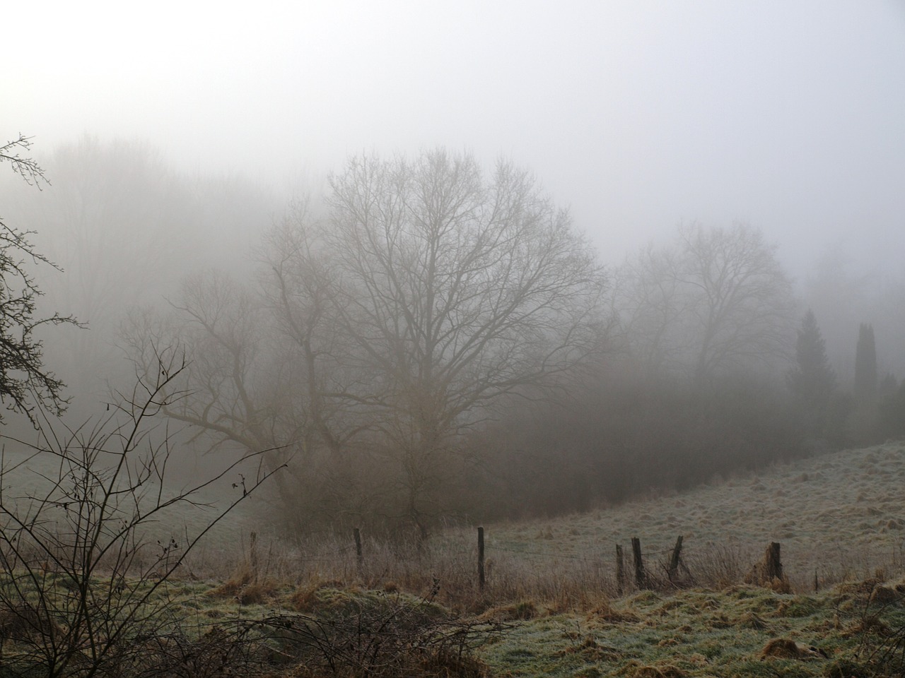 fog morning sunrise free photo