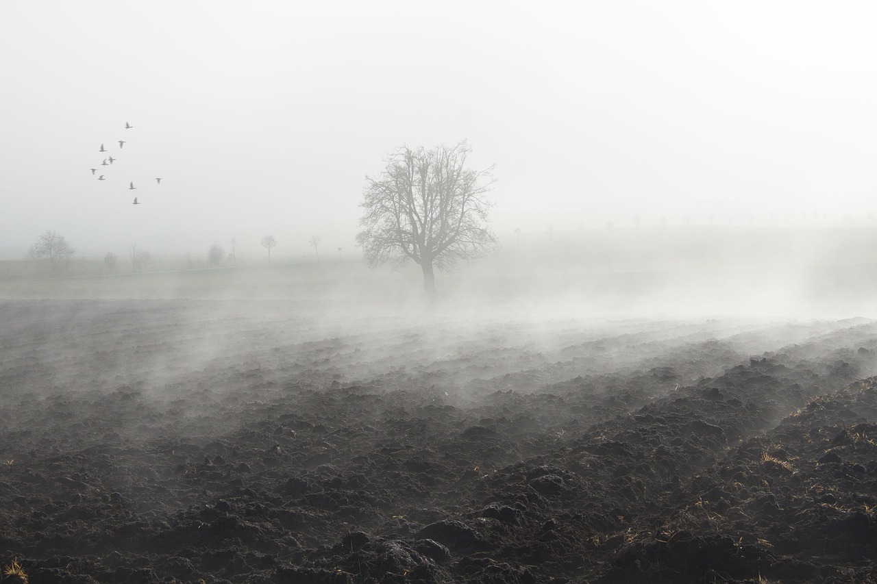 fog mood landscape free photo