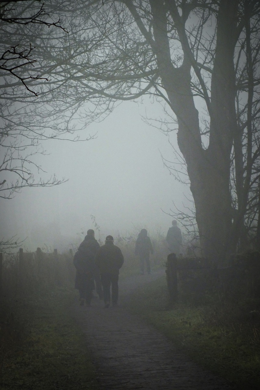 fog walking winter free photo