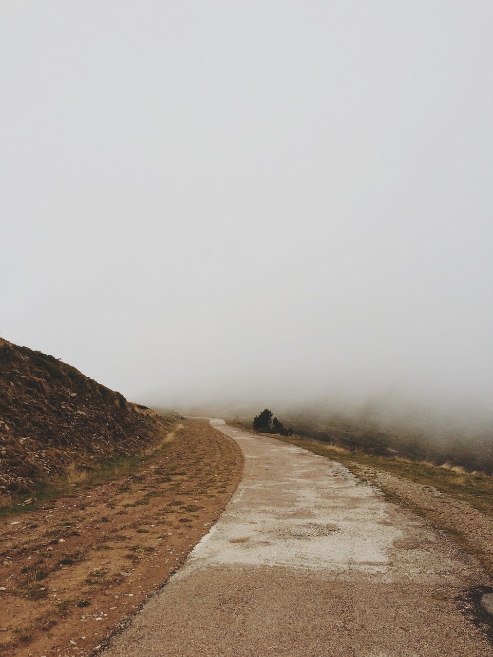 fog path dirt free photo