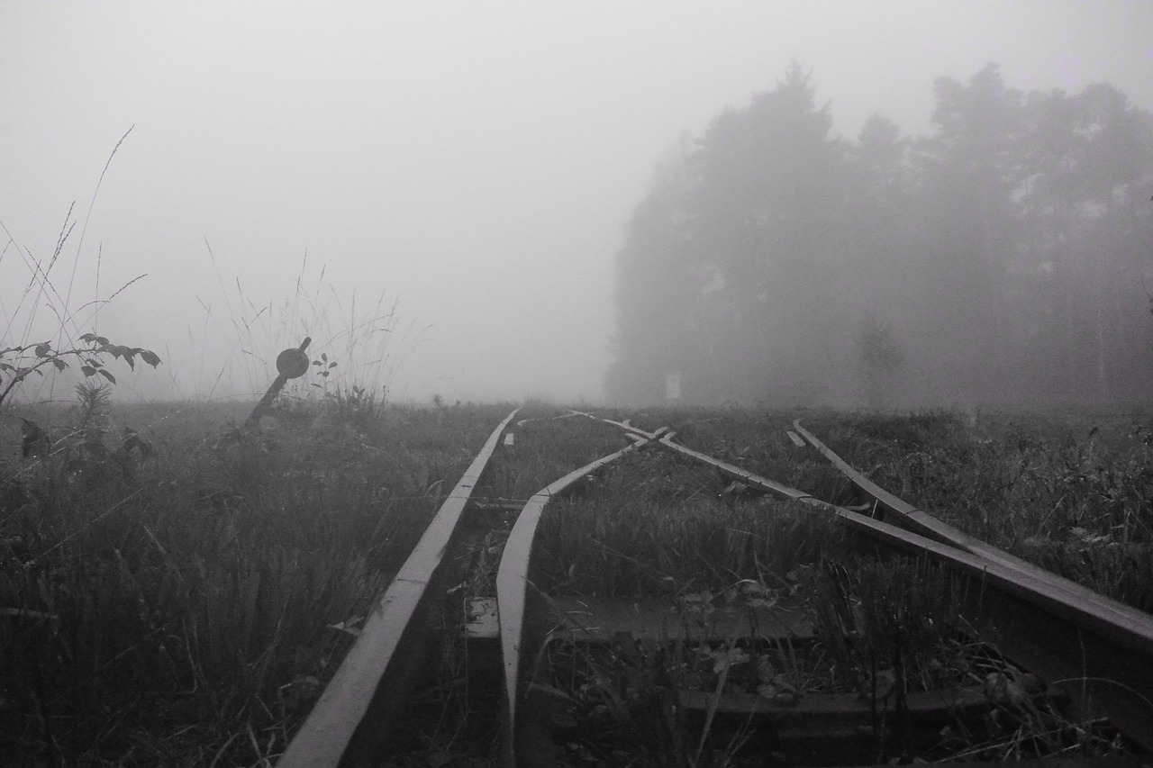 fog landscape moorland free photo