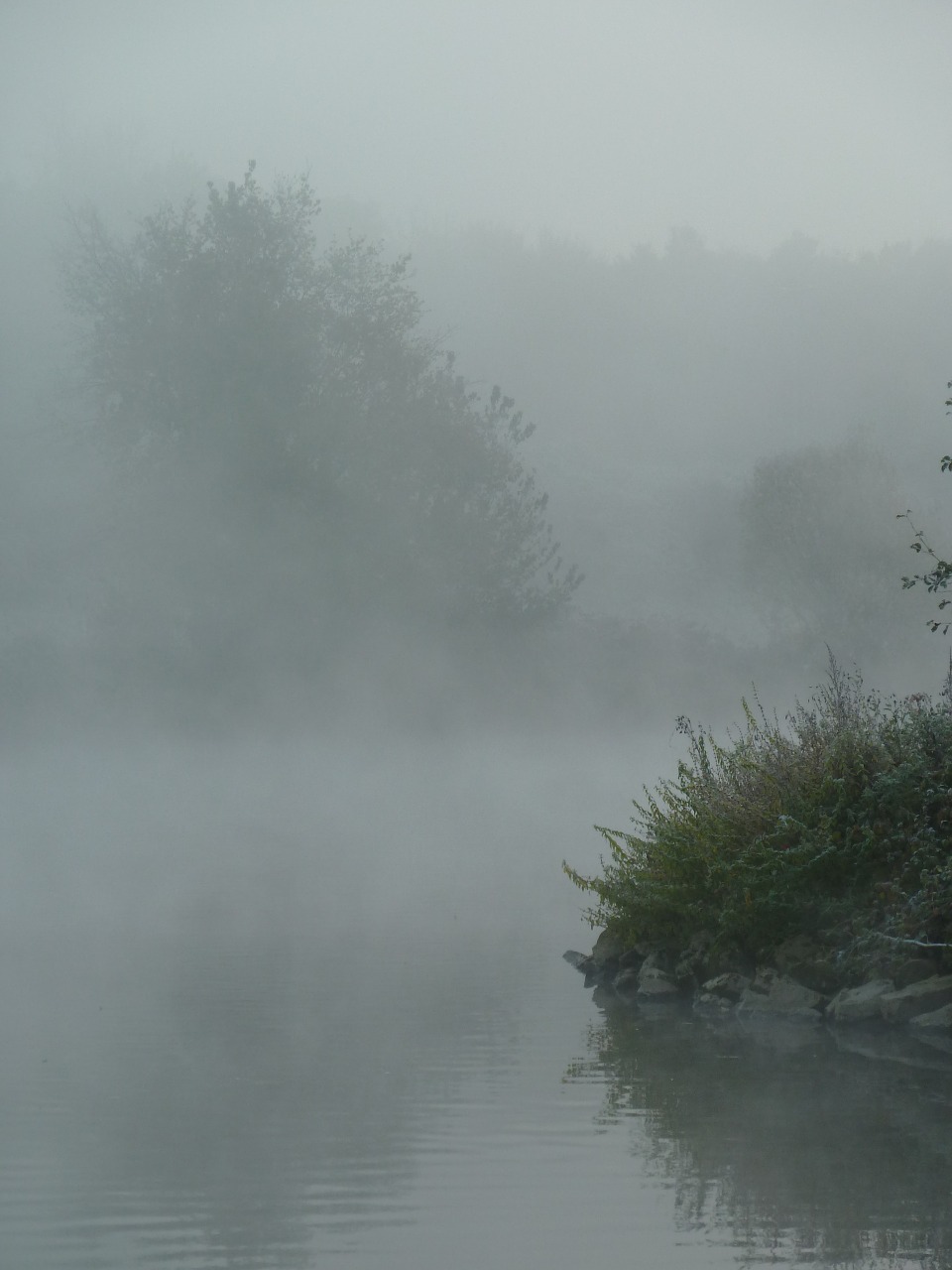 fog river mysterious free photo
