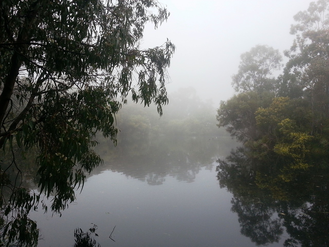 fog island lake free photo