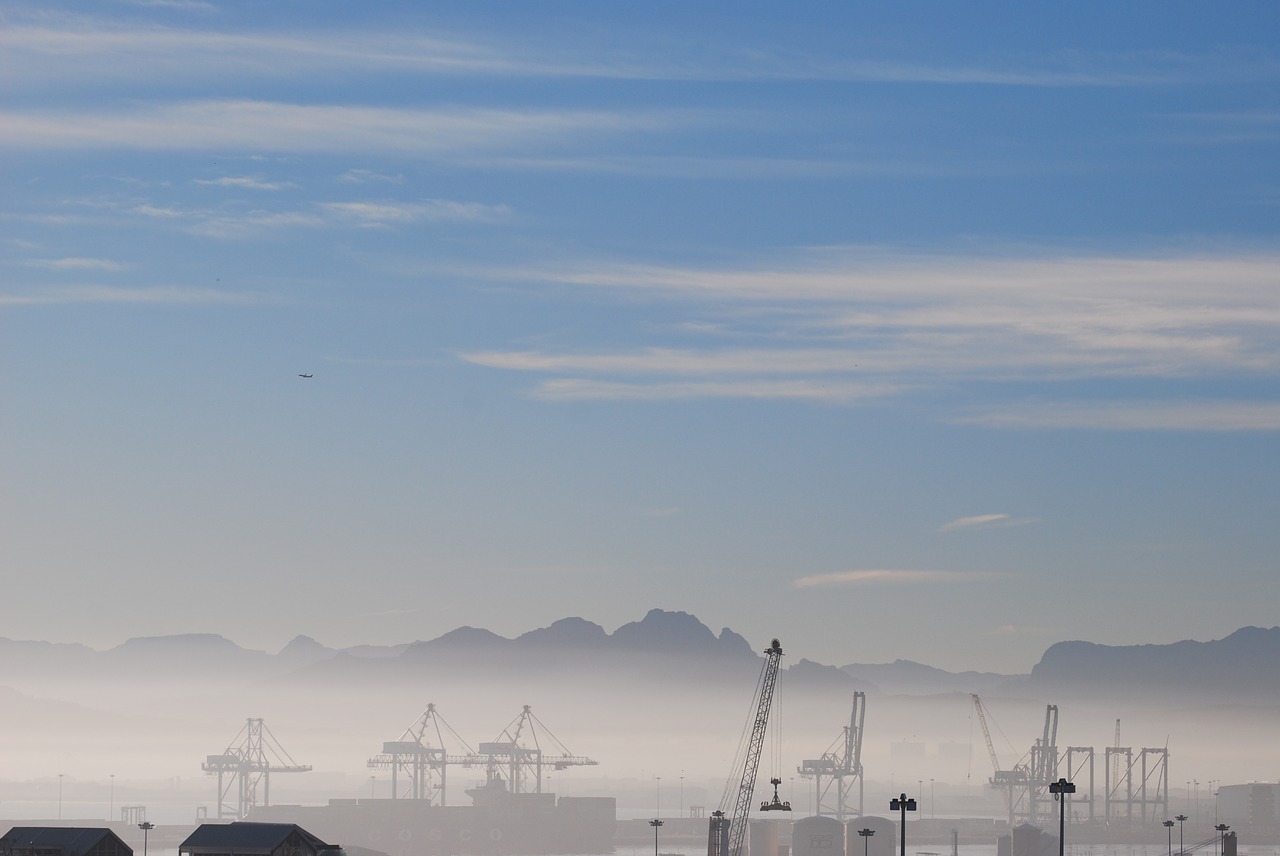 fog cranes landscape free photo